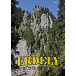 Erdély bűvöletében