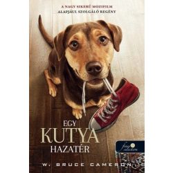 Egy kutya hazatér