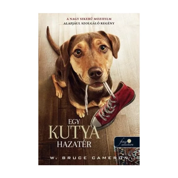Egy kutya hazatér