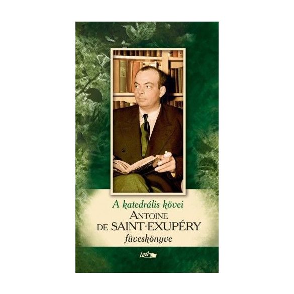 A katedrális kövei - Saint-Exupéry füveskönyve (2019)