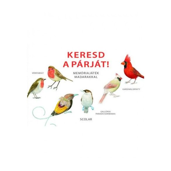 Keresd a párját! – Memóriajáték madarakkal