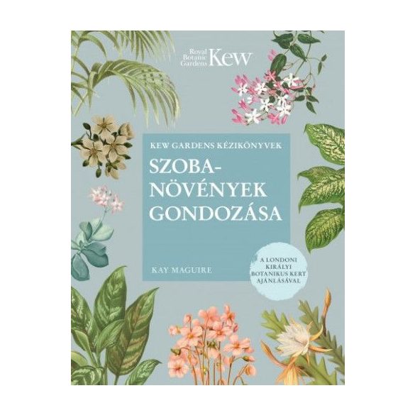 Szobanövények gondozása