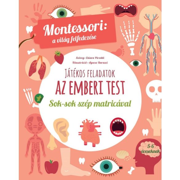 Az emberi test