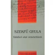 Valahol utat vesztettünk
