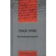 Kormányprogram