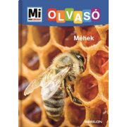 Méhek - Mi Micsoda Olvasó
