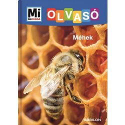 Méhek - Mi Micsoda Olvasó