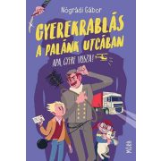 Gyerekrablás a Palánk utcában