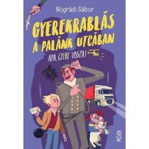 Gyerekrablás a Palánk utcában