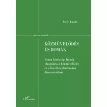 Közművelődés és romák