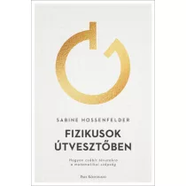   Fizikusok útvesztőben - Hogyan csábít tévutakra a matematikai szépség