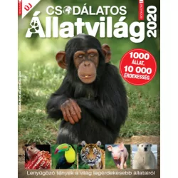 Füles Bookazine: Csodálatos Állatvilág 2020