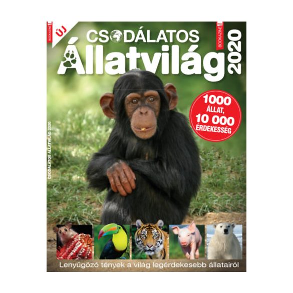 Füles Bookazine: Csodálatos Állatvilág 2020