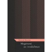 Megérteni az irodalmat