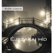 Éjszakai híd