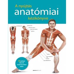 A nyújtás anatómiai kézikönyve