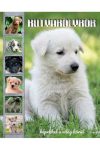 Kutyakölykök - Képekkel a világ körül