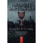 Narrenturm – Bolondok Tornya