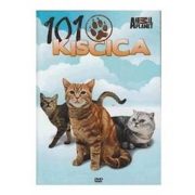 101 Kiscica - DVD