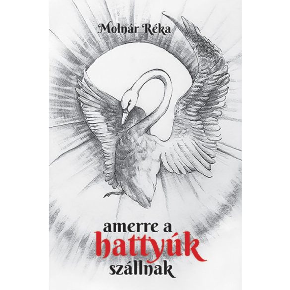 Amerre a hattyúk szállnak