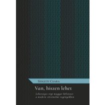   Van, hiszen lehet - Lehetséges régi magyar költészet a modern történelmi regényekben