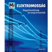 Mi MICSODA - Elektromosság