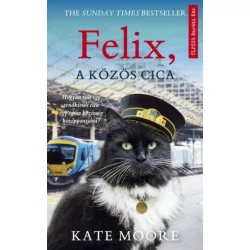 Felix, a közös cica
