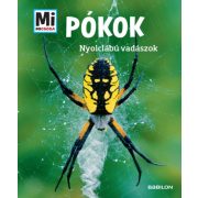 Pókok - Nyolclábú vadászok - Mi Micsoda