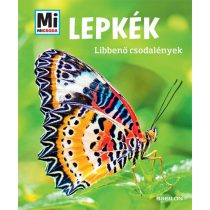 Lepkék - Mi MICSODA