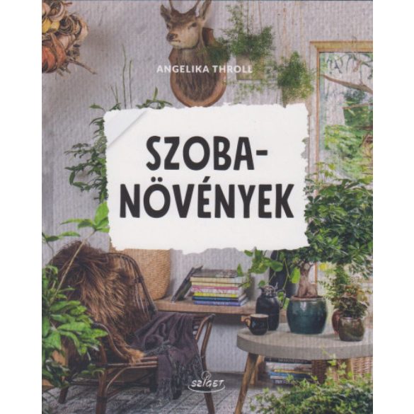 Szobanövények