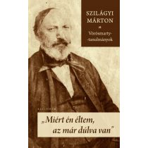   Miért én éltem, az már dúlva van - Vörösmarty-tanulmányok