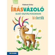 Írásvázoló 1. osztályosoknak ? Kisbetűk (MS-1651V)