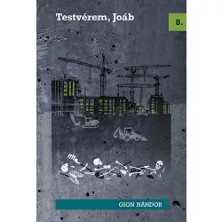 Testvérem, Joáb