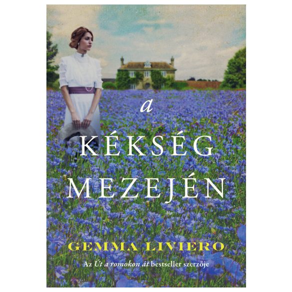 A kékség mezején