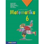 Sokszínű matematika tankönyv 6. osztály (MS-2306)