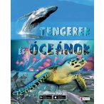 Tengerek és óceánok