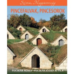Pincefalvak, pincesorok