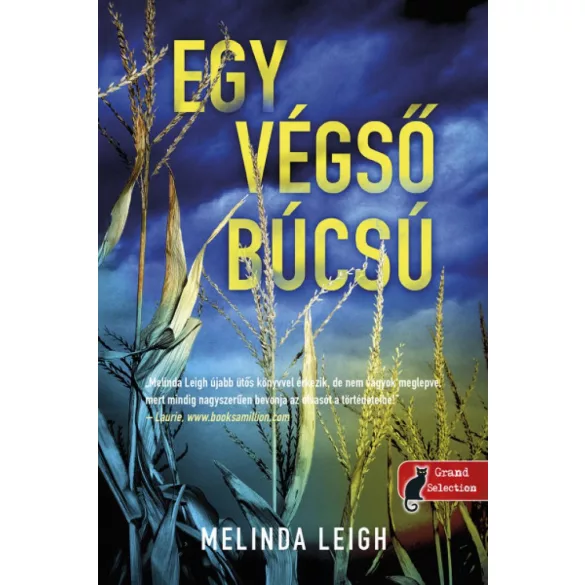 Egy végső búcsú (Morgan Dane 2.)