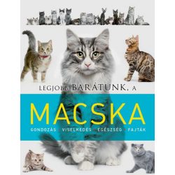 Legjobb barátunk a macska