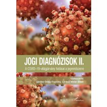   Jogi diagnózisok II. - A COVID-19-világjárvány hatásai a jogrendszerre