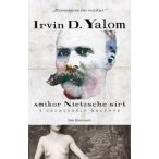 Amikor Nietzsche sírt - A szenvedély regénye