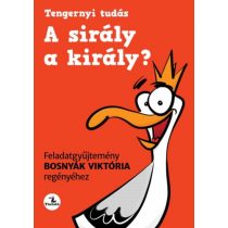   A sirály a király? Feladatgyűjtemény Bosnyák Viktória regényéhez