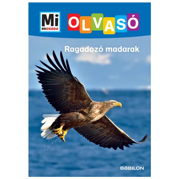 Ragadozó madarak - Mi Micsoda Olvasó