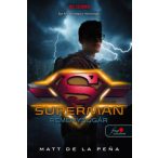 Superman - Reménysugár - DC Legendák 4.