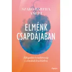 Elménk csapdájában