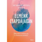 Elménk csapdájában