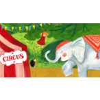 Szeleverdi Fánni a cirkuszban - Diafilm