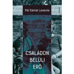 Családon belüli erő