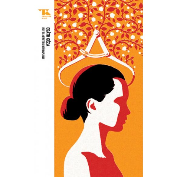 Egy elmebeteg nő naplója - Trubadúr Zsebkönyvek 5.