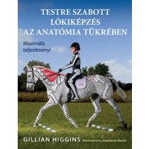 Testre szabott lókiképzés az anatómia tükrében